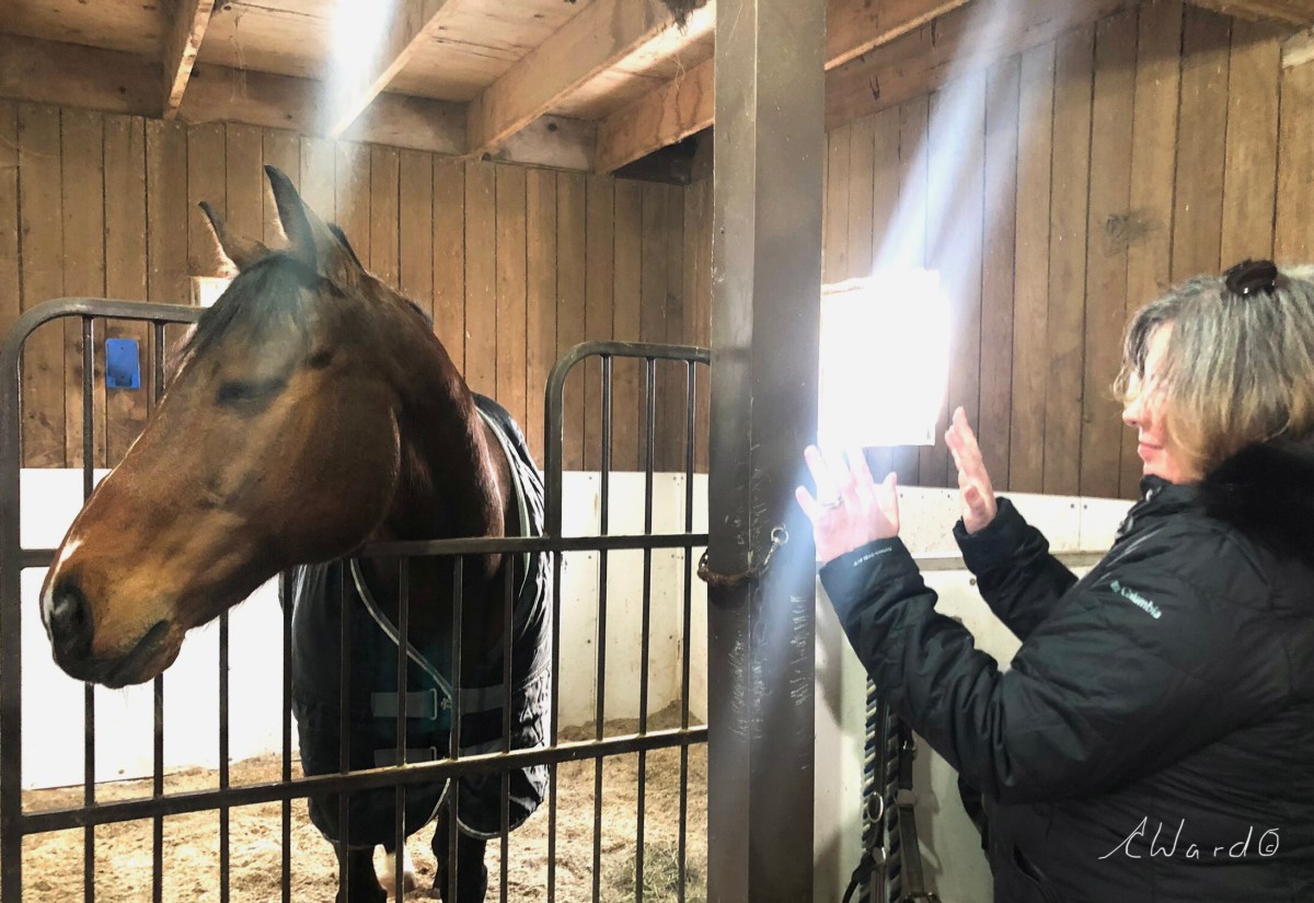 Heal Yourself & Heal the&nbsp;World